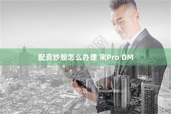 配资炒股怎么办理 宋Pro DM