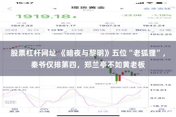 股票杠杆网址 《暗夜与黎明》五位“老狐狸”，秦爷仅排第四，郑兰亭不如黄老板