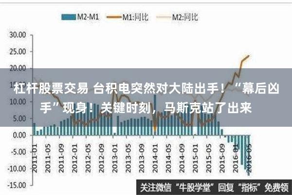 杠杆股票交易 台积电突然对大陆出手！“幕后凶手”现身！关键时刻，马斯克站了出来