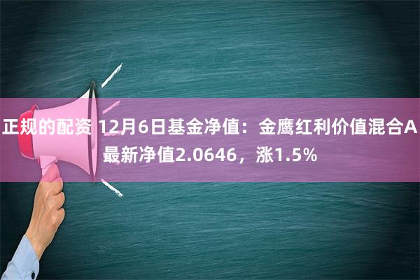 正规的配资 12月6日基金净值：金鹰红利价值混合A最新净值2.0646，涨1.5%