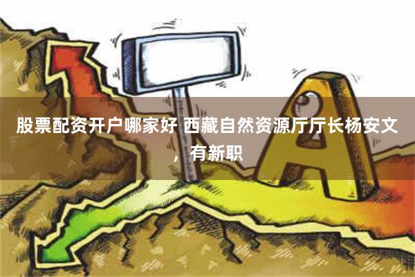 股票配资开户哪家好 西藏自然资源厅厅长杨安文，有新职