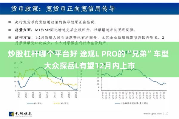 炒股杠杆哪个平台好 途观L PRO的“兄弟”车型 大众探岳L有望12月内上市